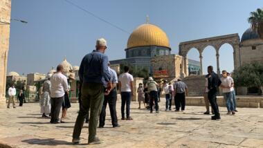 عشرات المستوطنين الصهاينة يجددون اقتحامهم  لباحات المسجد الأقصى