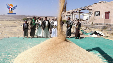 Start der Weizensaison auf der Farm SAMAH in der Provinz Dhamar