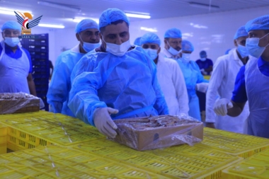 Checking fish export centers & companies readiness in Al-Hodeida
