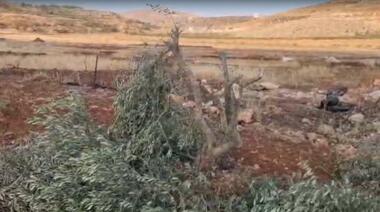 مستوطنون يطاردون رعاة الماشية في 