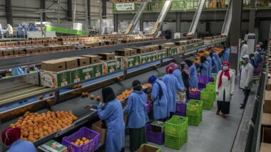 Saudi Arabia Tops List of Countries Importing Egyptian Goods in 2024