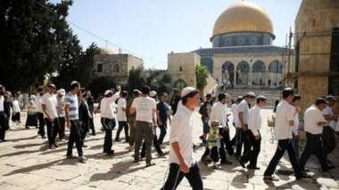 Zionistische Siedler stürmen die Innenhöfe von Al-Aqsa