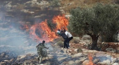 Zionist settlers set fire to Palestinian lands in Al-Janiya, west of Ramallah