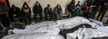 Aggression 336th day of : dozens martyred, injured by enemy's continuous shelling on Gaza