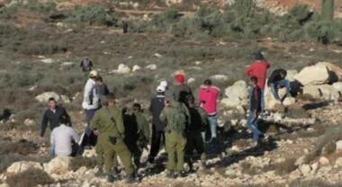 Los colonos atacan y expulsan a la gente de Khirbet Tana, al este de Naplusa