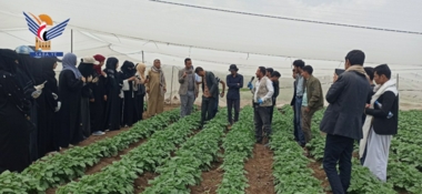 طلاب كلية الزراعة بجامعة صنعاء يتعرفون على تقنيات إنتاج بذور البطاطس بذمار