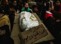 Gesundheitsministerium in Gaza: Die Zahl der Opfer durch Dürre und Unterernährung ist auf 20 gestiegen