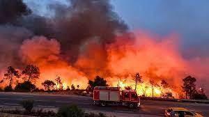 Argelia anuncia la contención de los incendios en sus bosques, tras la muerte de 34 personas y causar daños masivos