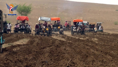 اللجنة الزراعية ووزارة الزراعة تدشنان زراعة الصحراء والكثبان الرملية بتهامة