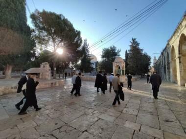 Zionistische Siedler stürmen Al-Aqsa-Höfe
