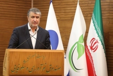 AEOI head: Iran operates in accordance with IAEA standards, guarantees