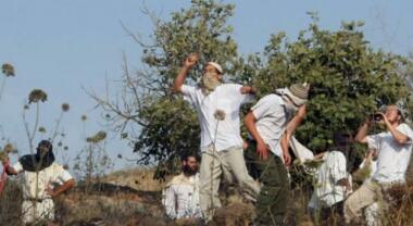 Colonos sionistas irrumpieron en Khirbet Yarza y ​​Arab al-Malihat en la Palestina ocupada