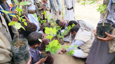 Inauguration of planting 260,000 fruitful seedlings for students of summer courses in Sa'ada district