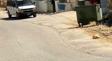 Zionist enemy army storms headquarters of village council & school in southern Hebron