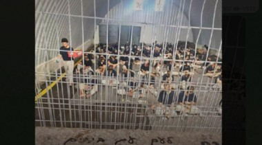 Zionist media: Israeli jails host more animates than declared