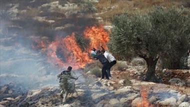 مستوطنون صهاينة يضرمون النار في أراضي فلسطينيين جنوب نابلس