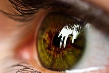 دراسة: عملية رمش العيون تعزز الرؤية وتحميها من الإجهاد