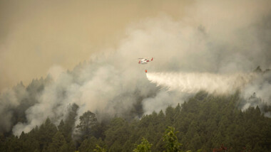 Los incendios forestales se extienden por 5.000 hectáreas en Canarias