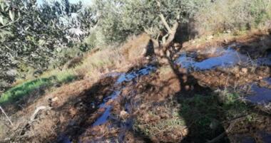 Bandadas de colonos bombean aguas residuales a las tierras de Nahalin, al oeste de Belén