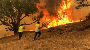 Extinguir el 80 por ciento de los incendios forestales en Argelia