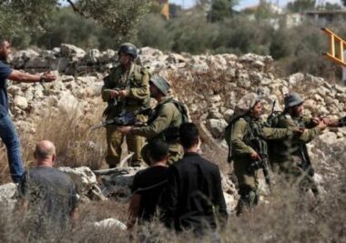 جنود العدو الإسرائيلي يعتدون على مزارع فلسطيني جنوب بيت لحم