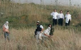 Zionist settlers seize tens of acres in Bethlehem