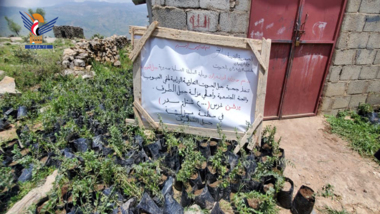 Einweihung der Anpflanzung von zweitausend Sidr-Setzlingen im Distrikt Jabal Al Mahwit