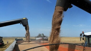 Las autoridades ucranianas comienzan a exportar cereales a través de los puertos croatas.