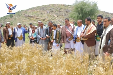 Inspektion der Weizenernte in den Distrikten Al-Bayda und Al-Zaher