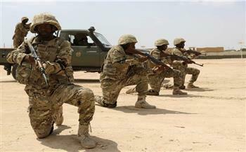 Somali army kills 30 al-Shabab terrorists 