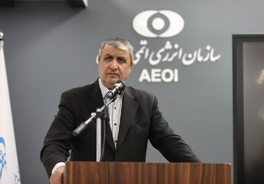 Eslami: Die Arbeit der internationalen Agentur muss professionell sein