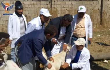 Start der zweiten Impfkampagne gegen Pest und Schafpocken in der Provinz Raimah