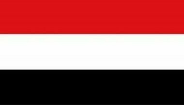 Die jemenitischen Streitkräfte beleidigen Amerika und Großbritannien im roten und arabischen Meeren