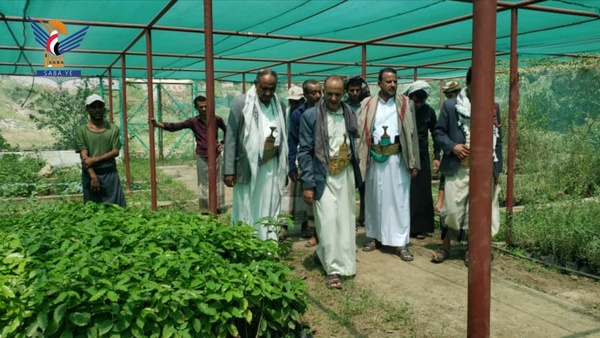 Taiz.. Inspection of work progress at Wurzan Model Nursery in Khadir District Taiz.. Inspection of work progress at Wurzan Model Nursery in Khadir District