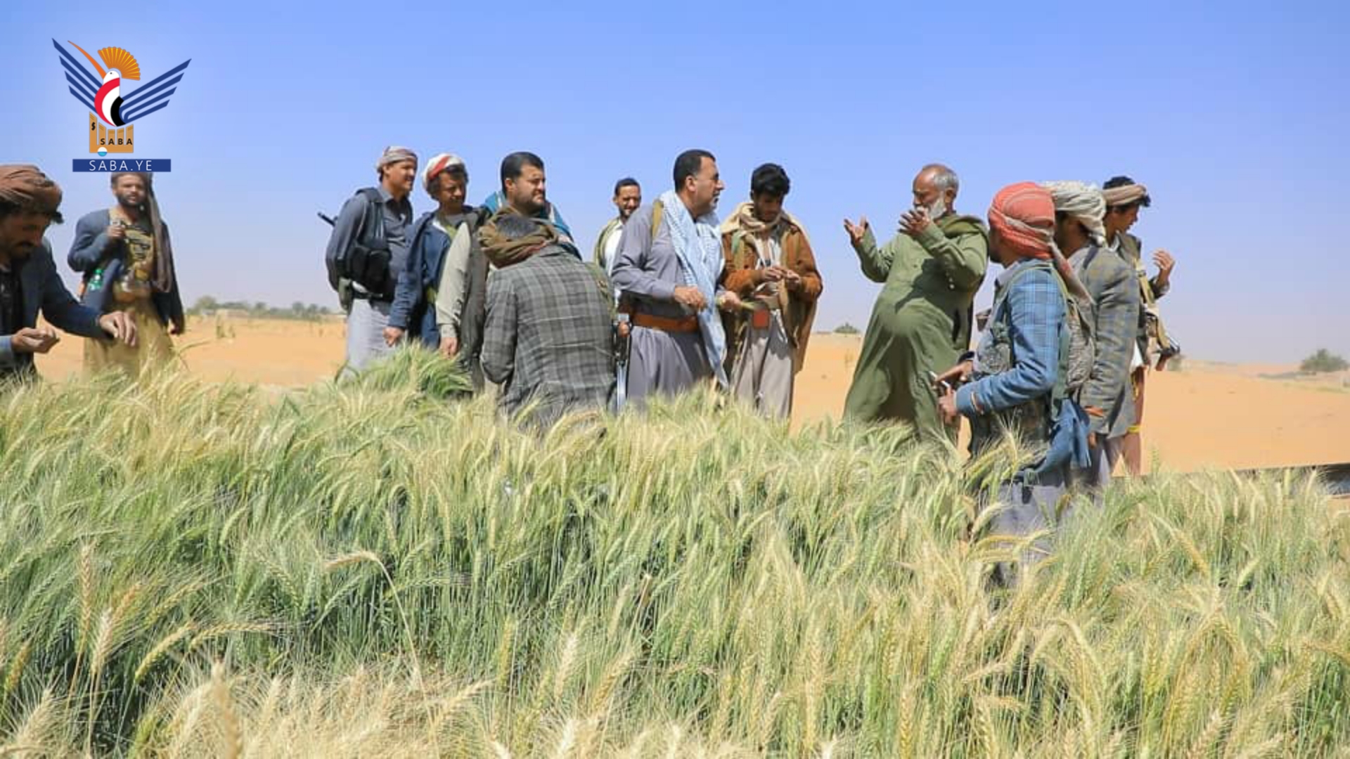 الحناني والسياني يطلعان على مزارع القمح في مديرية خب والشعف بالجوف