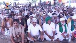 Hodeida districts hold joint celebration of al-Wilayah