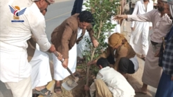 افتتاح عملیات جنگل کاری در استان صعده