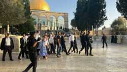  مستوطنون صهاينة يجددون اقتحامهم يقتحمون المسجد الأقصى