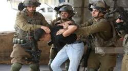العدو الإسرائيلي يحتجز 22  فلسطينيا ويعتقل شقيقين بالمغير