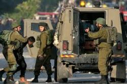 العدو الصهيوني يعتقل فلسطينياً ونجله في مسافر يطا ويهدم مشتلاً شمال غرب سلفيت