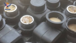 Nihm Customs Center thwarts attempt to smuggle quantity of foreign raisins