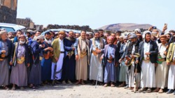 وساطة قبلية تنجح في إنهاء قضية قتل في مديرية أرحب بمحافظة صنعاء