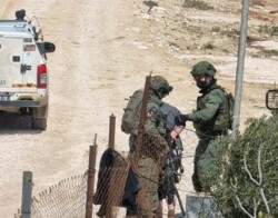 مستوطنون يهاجمون مواطنين فلسطينيين وممتلكاتهم في مسافر يطا وجيش العدو يعتقل 3 مواطنين
