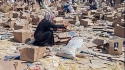 رئيس الوزراء البريطاني:خطة 
