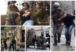 العدو الإسرائيلي يعتقل 7 مواطنين فلسطينيين من الخليل