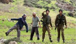 اصابة فلسطينيين وتضرر عدة مركبات في اعتداء للمستوطنين غرب سلفيت