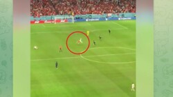 مشجع يقتحم ملعب مباراة تونس و فرنسا حاملا علم فلسطين