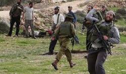 إصابة فلسطينيين في اعتداءات للمستوطنين  ببيت لحم