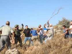 المملكة المتحدة تدين هجمات المستوطنين على بروقين غرب سلفيت