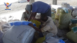 Beschlagnahme illegaler Fischereiausrüstung vor der Küste von Al-Matinah in At-Tohayta, Hodeidah